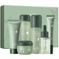 6pc Avocado Skincare Set